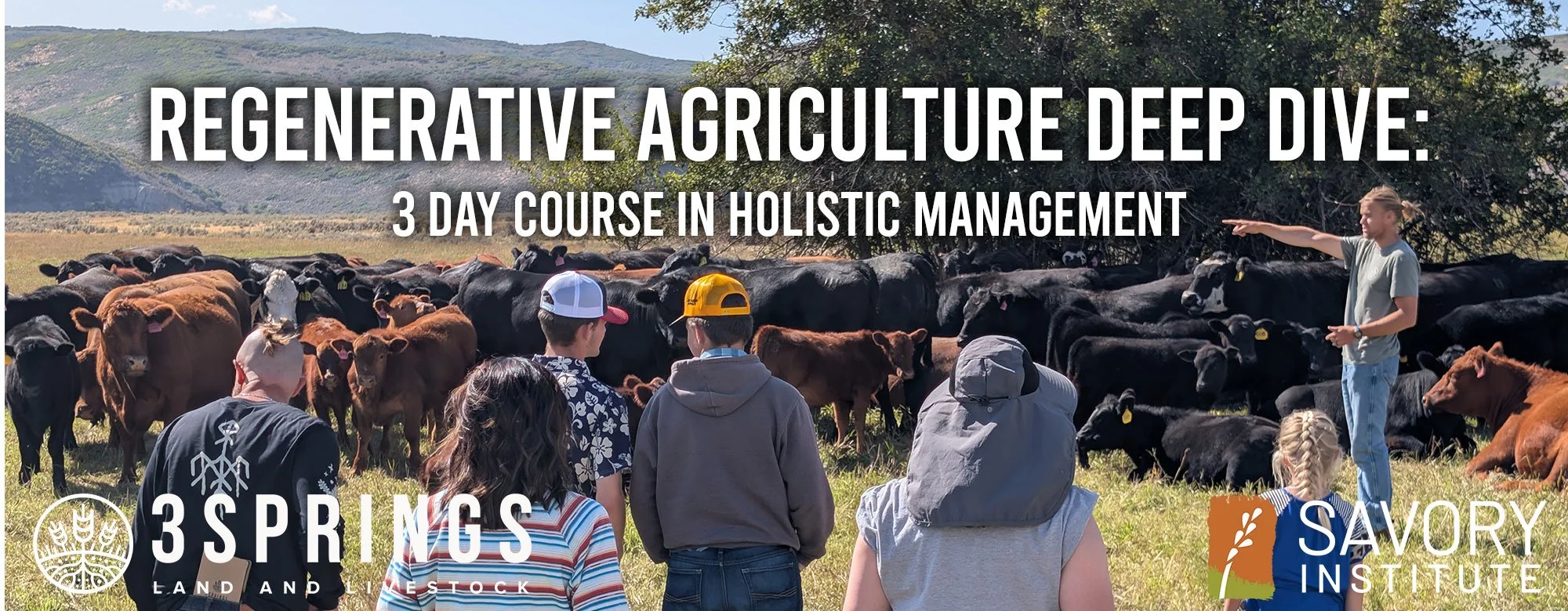 3 Springs Land and Livestock photo 6