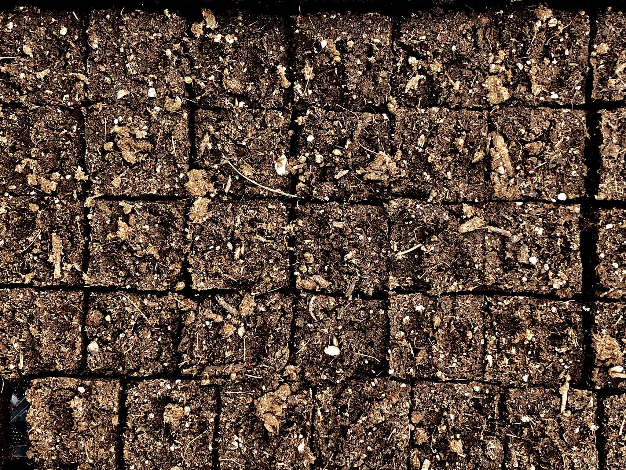 1737_SP_417 gallery soil.jpg