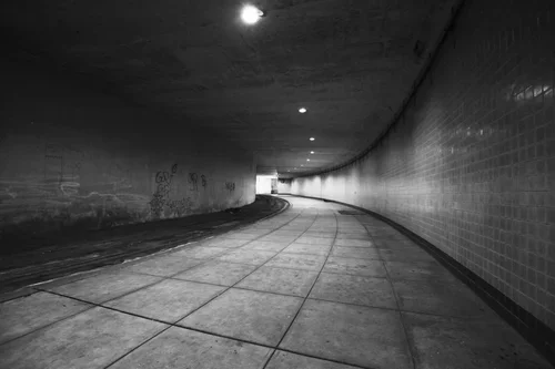 2506_RF_113 Current.webp