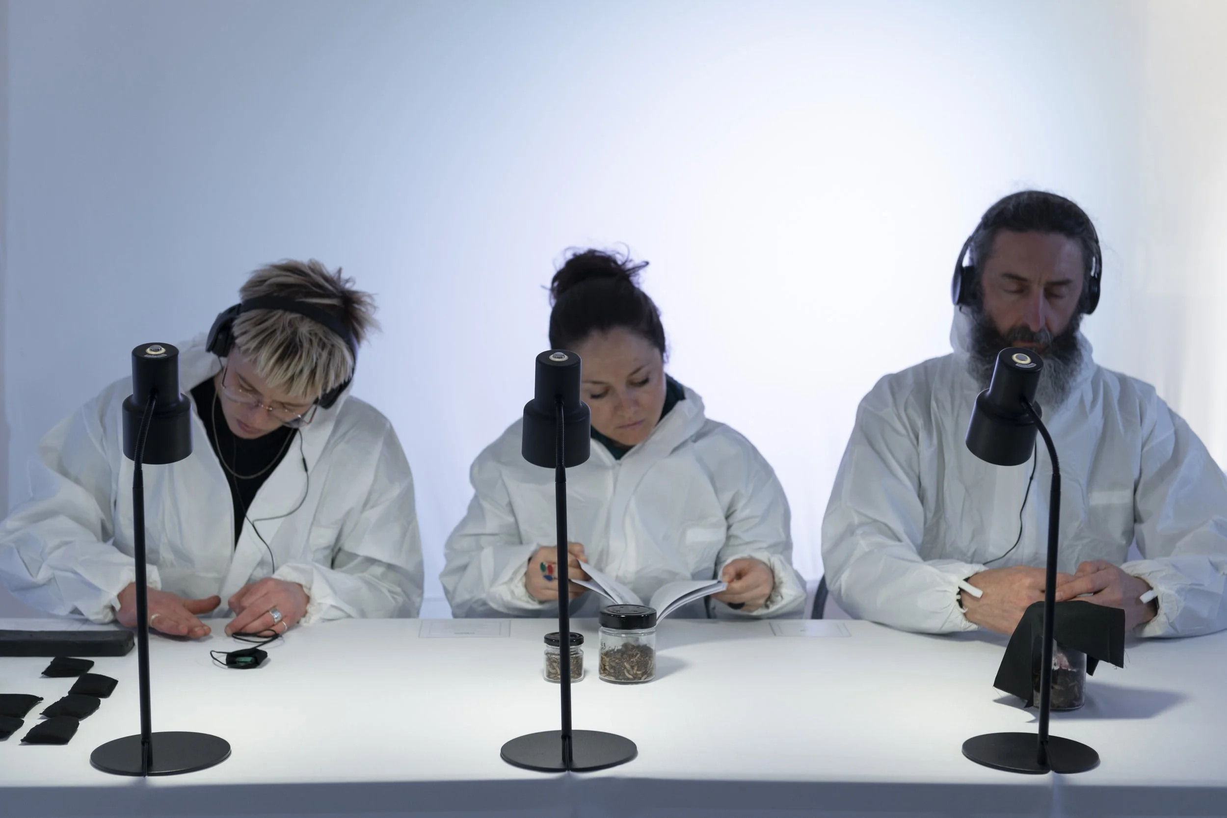 Flight Path - participatory immersive installation (Hillscene Festival of Live art 2019)