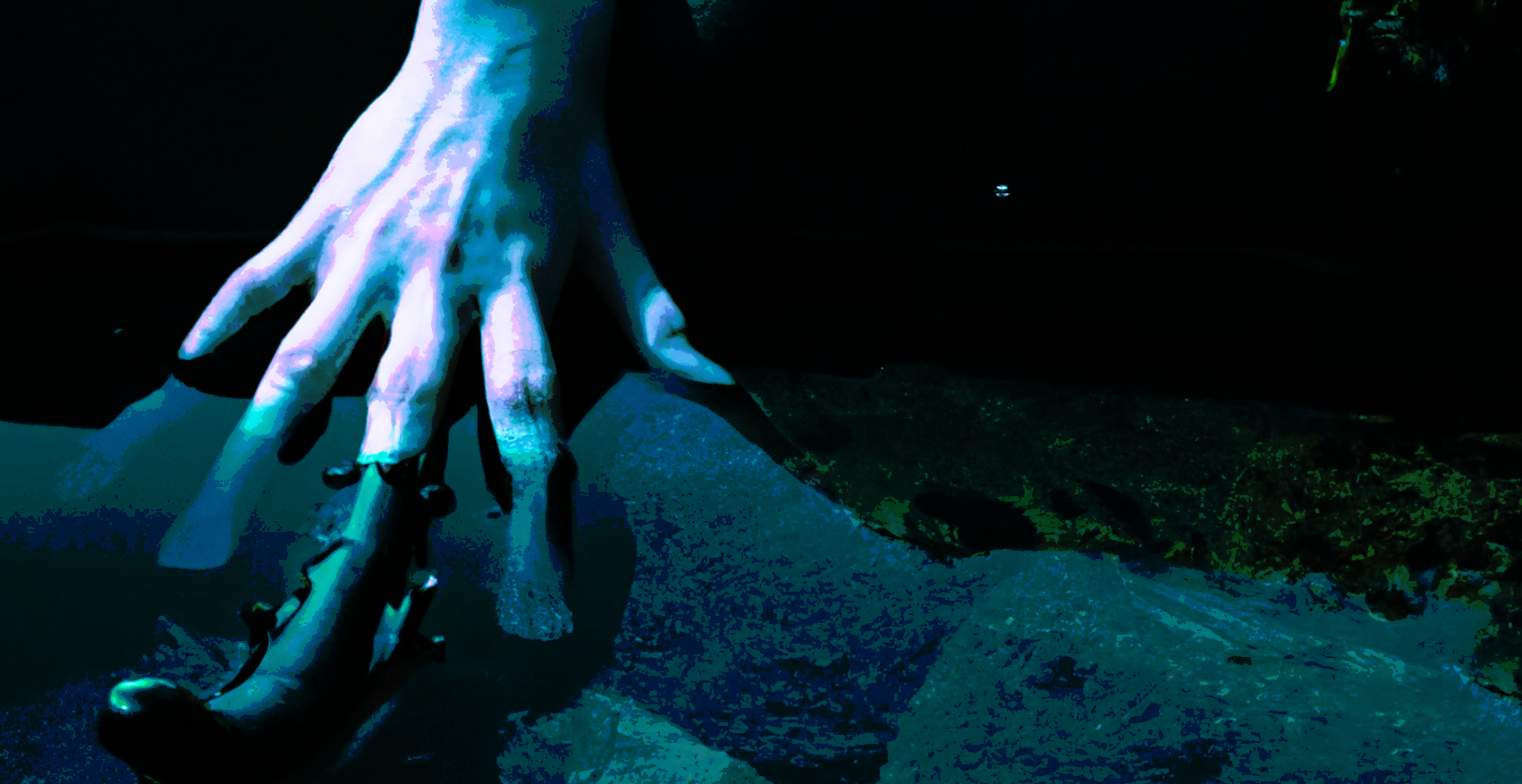 TALK: SYMBIOPUNK - INTERSPECIES IMAGINARIES TO CONJURE THE SYMBIOCENE 2025