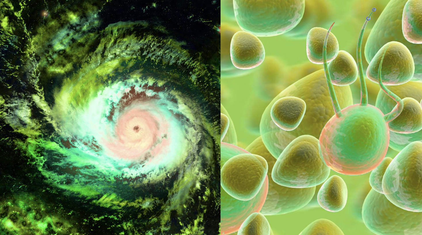 LECTURE: TRANSTOPIA- TRANS PLANETARY THINKING AND STAYING WITH THE CHANGE