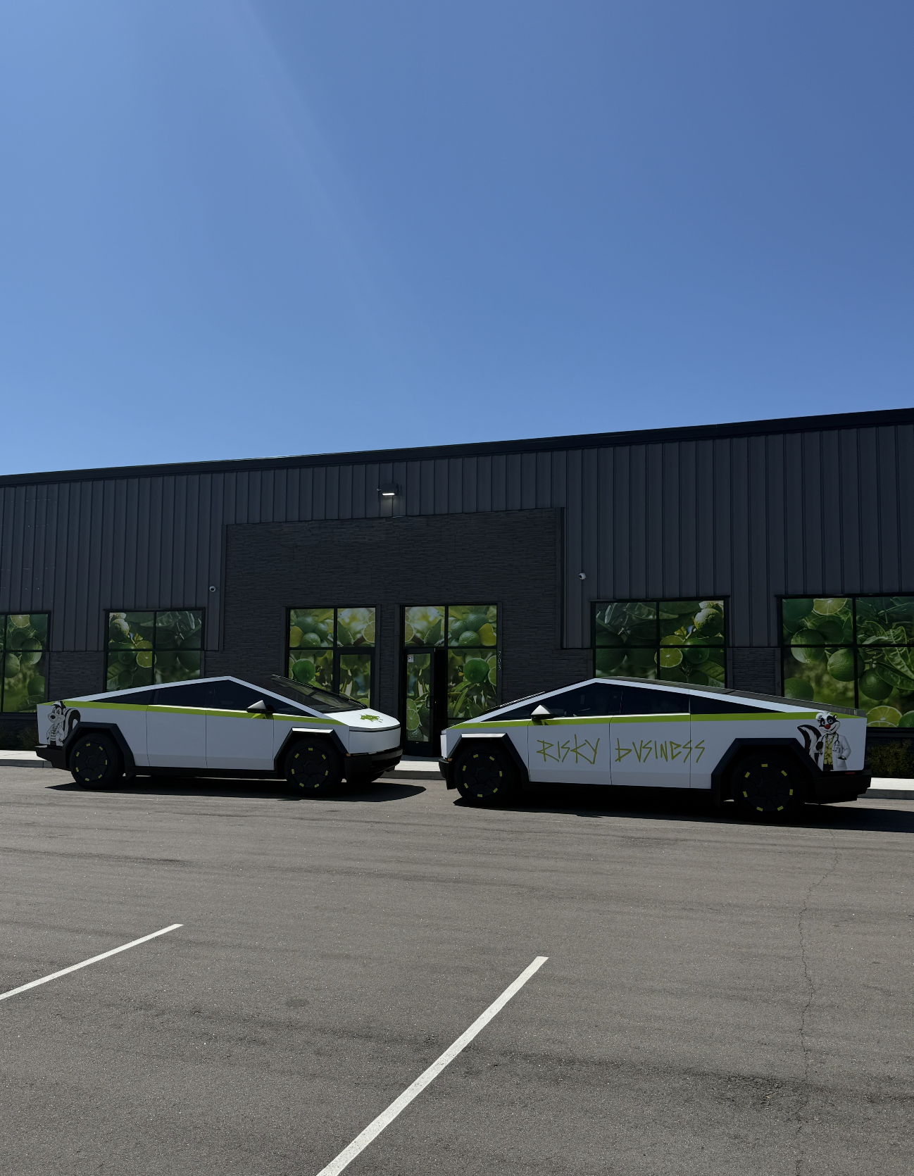 Vinyl Graphics on Cybertrucks