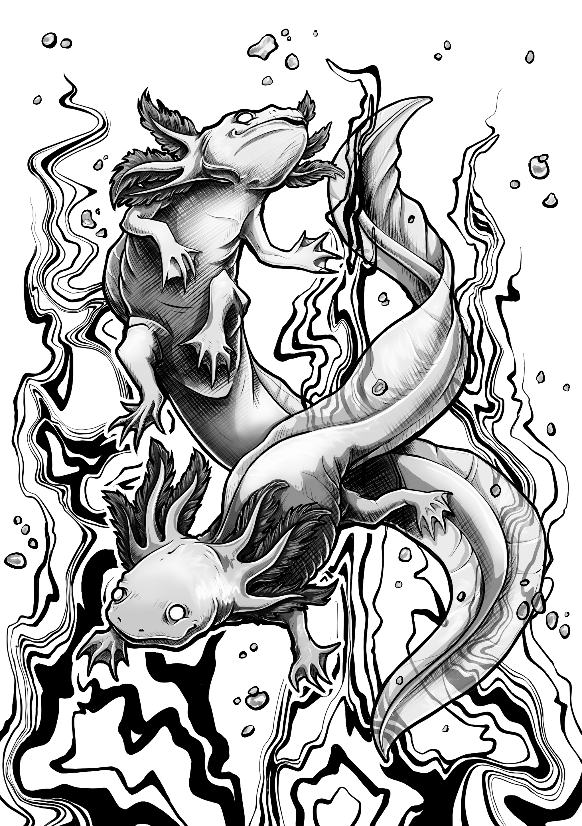Axolotl.png