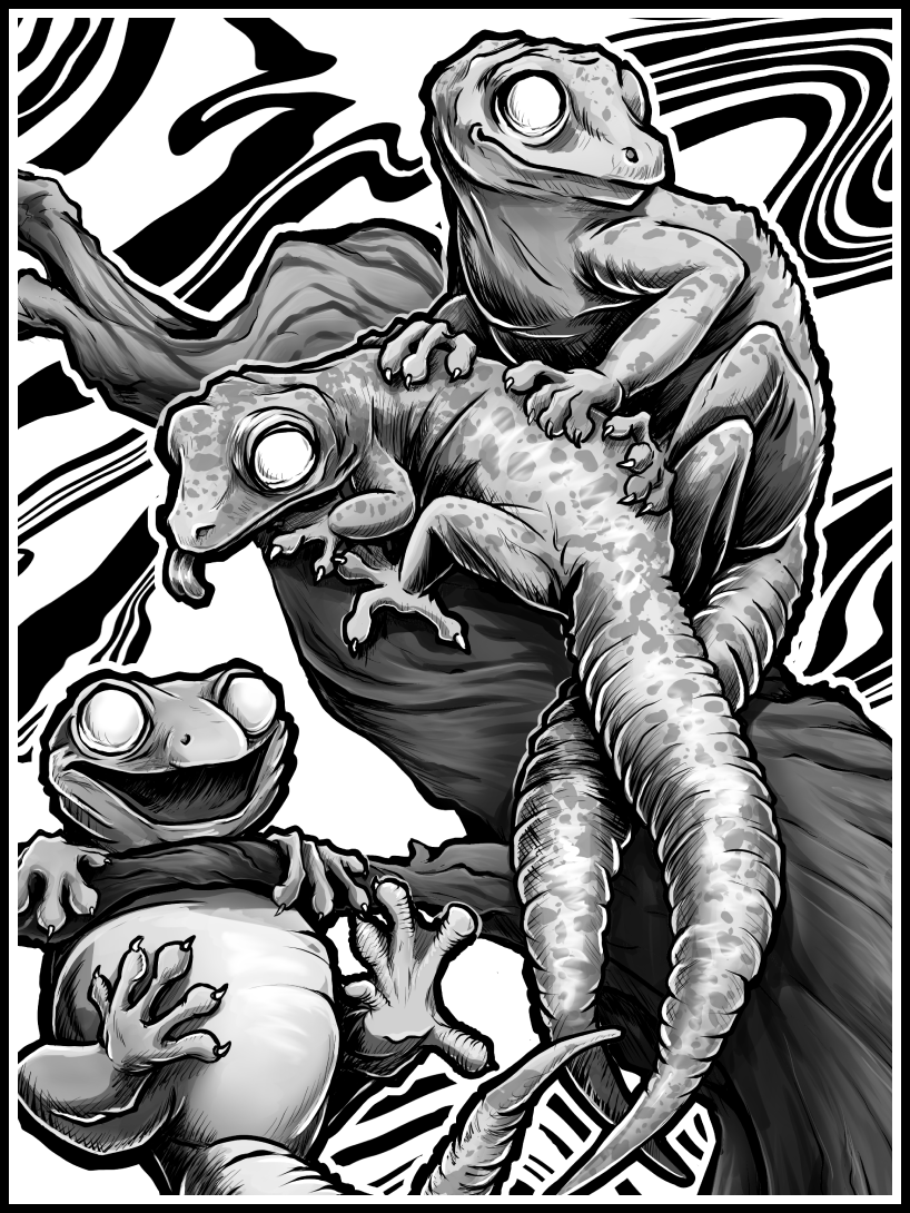 Geckos · Print