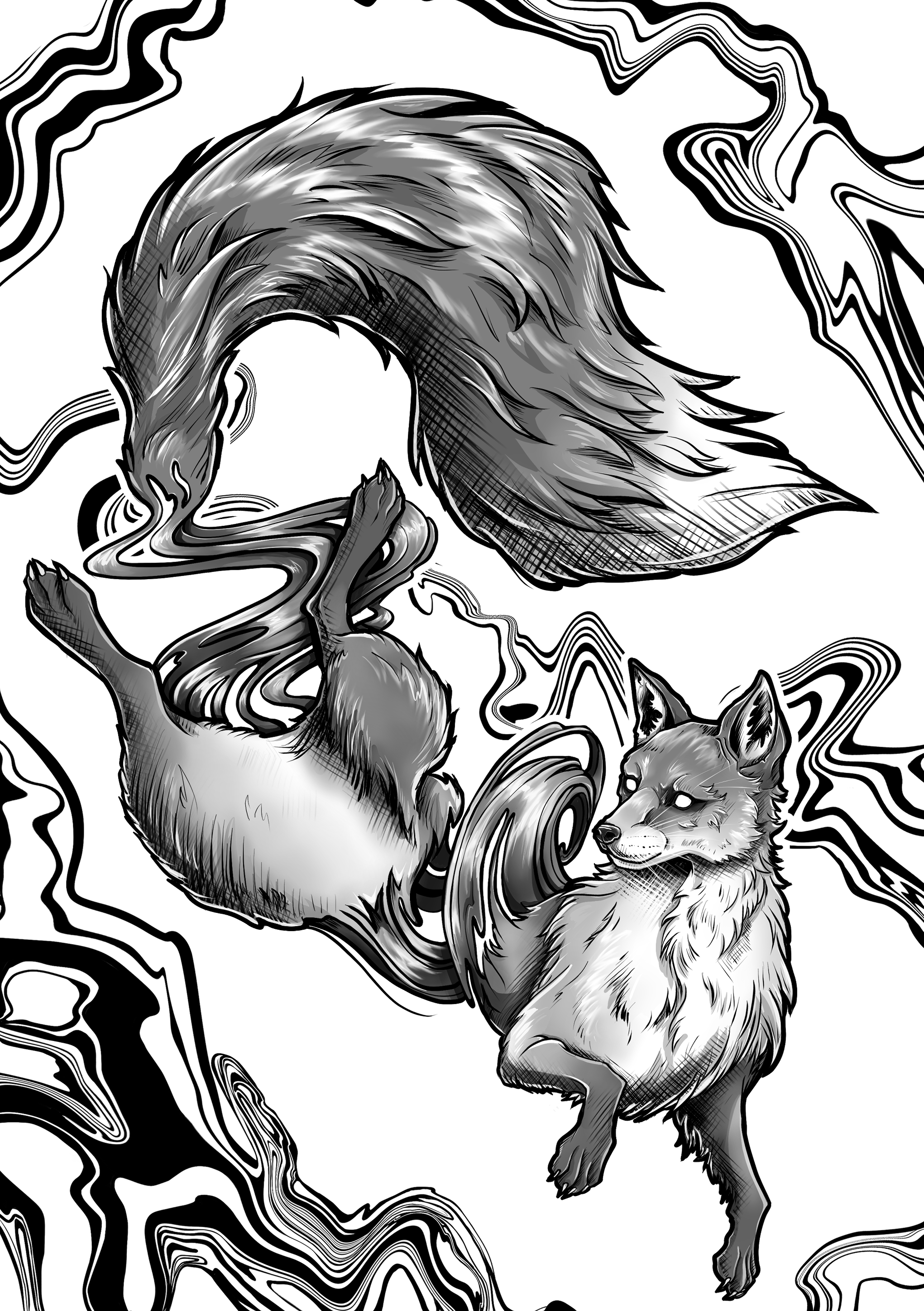 Fox.png