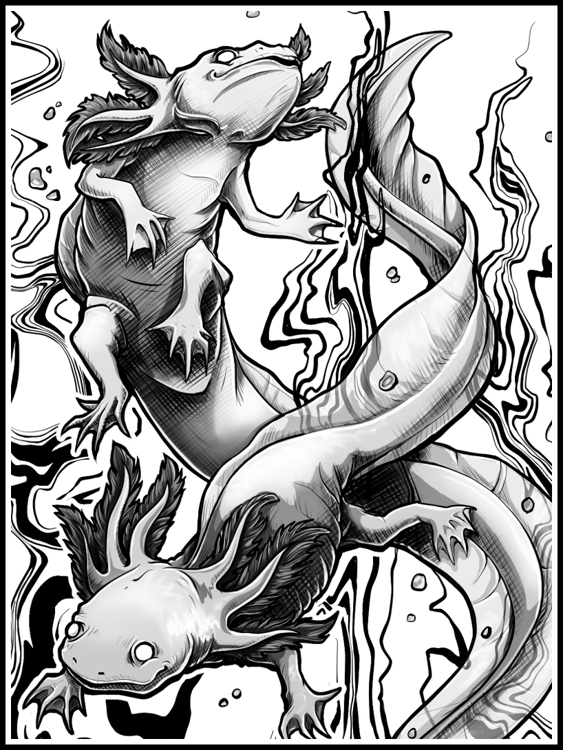 Axolotls · Print