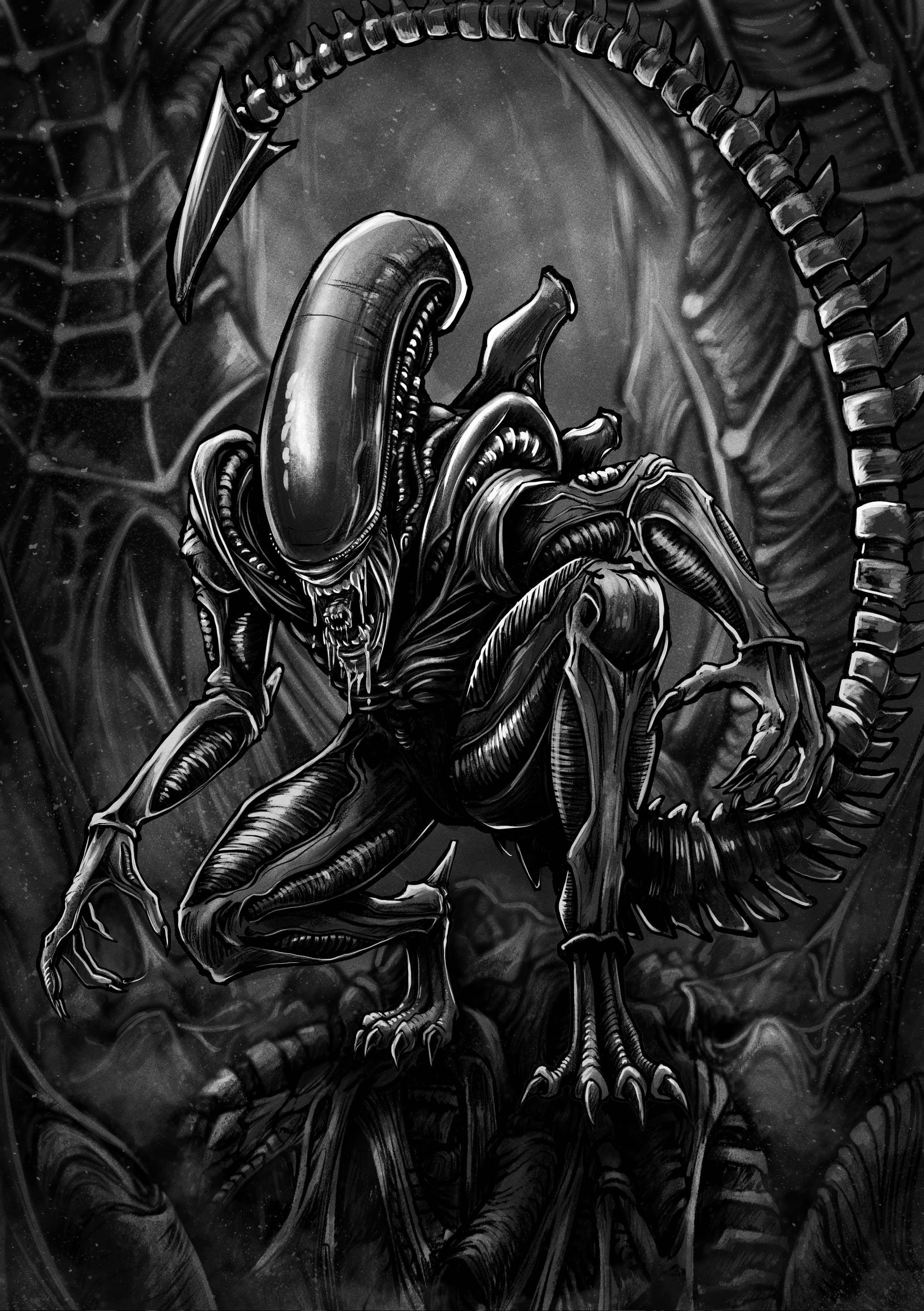 Xenomorph (Website full size).png
