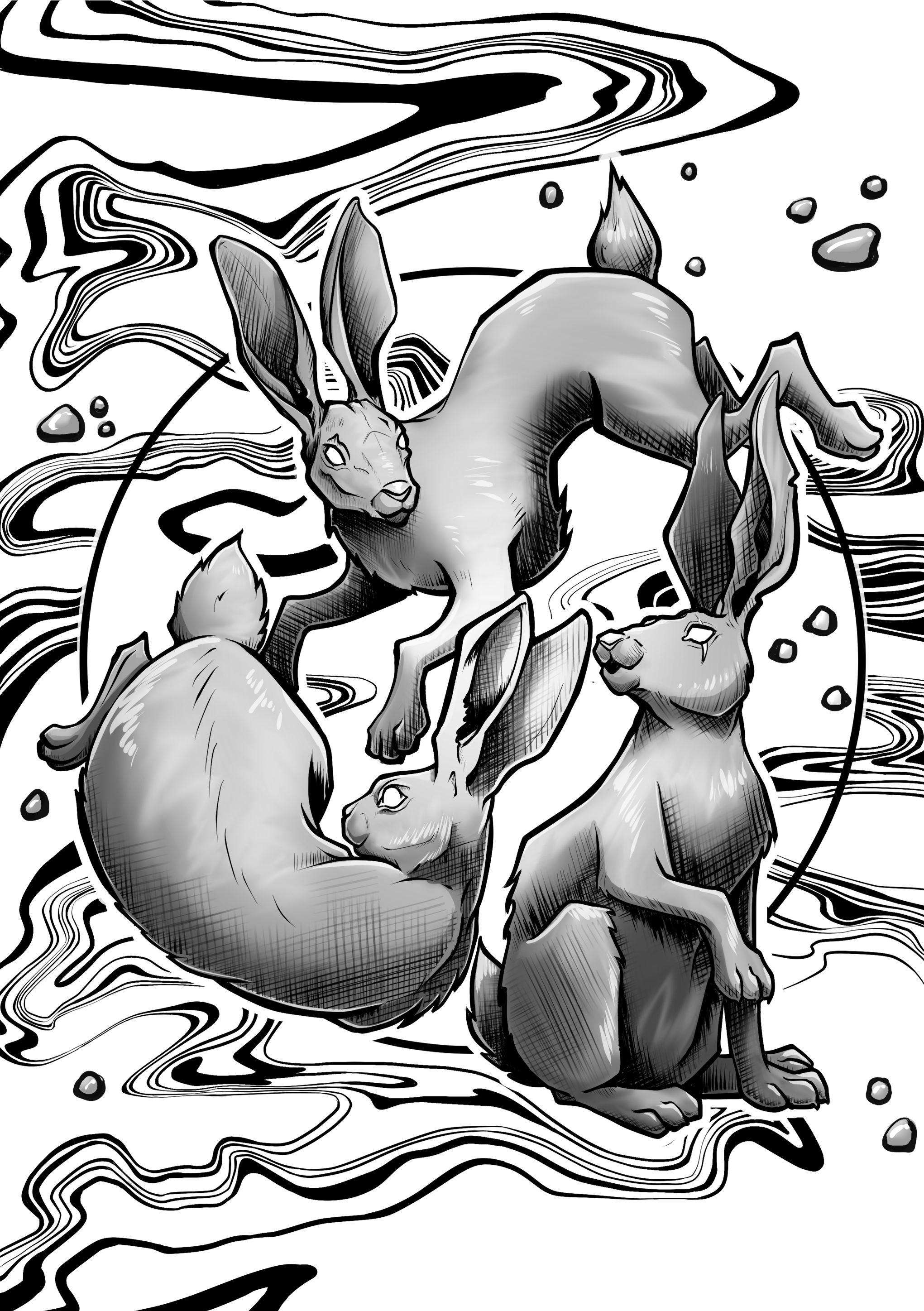 Rabbits.png