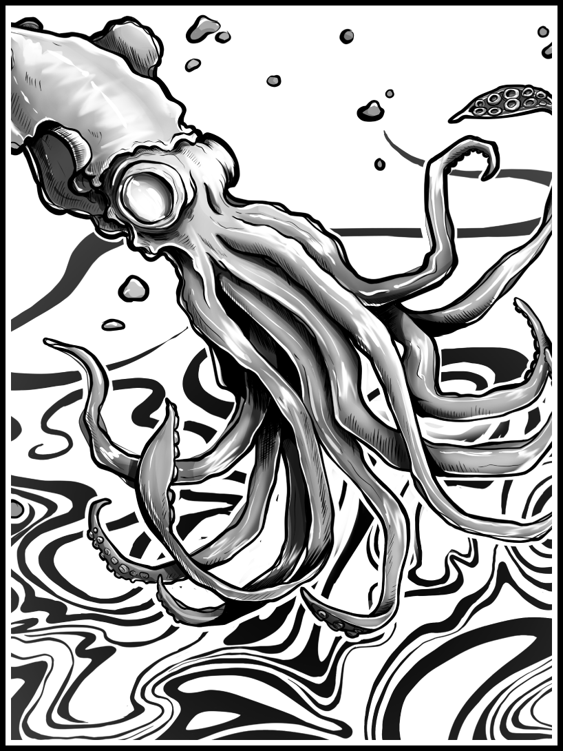 Squid · Print