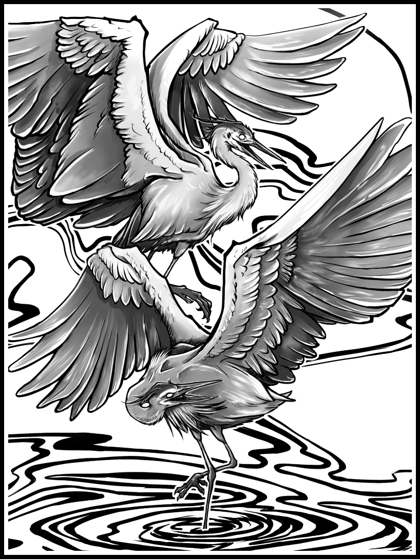 Herons · Print