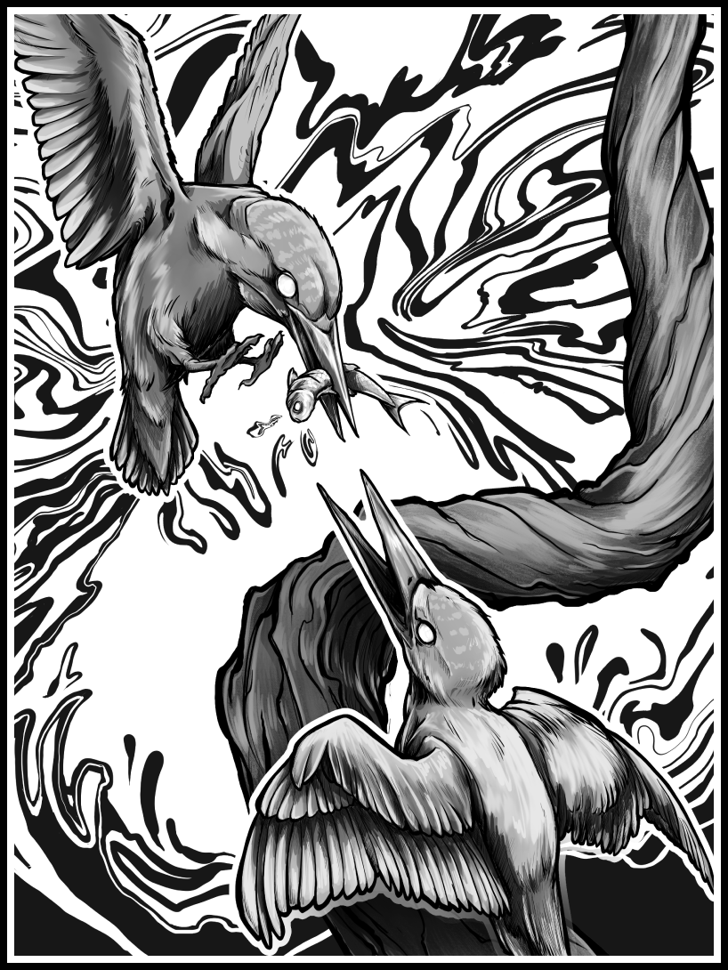 Kingfishers · Print