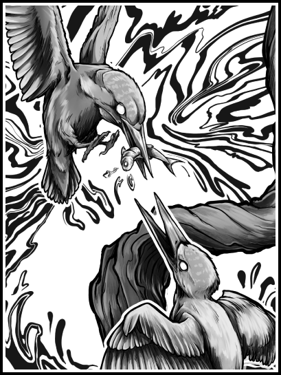 Kingfishers · Print
