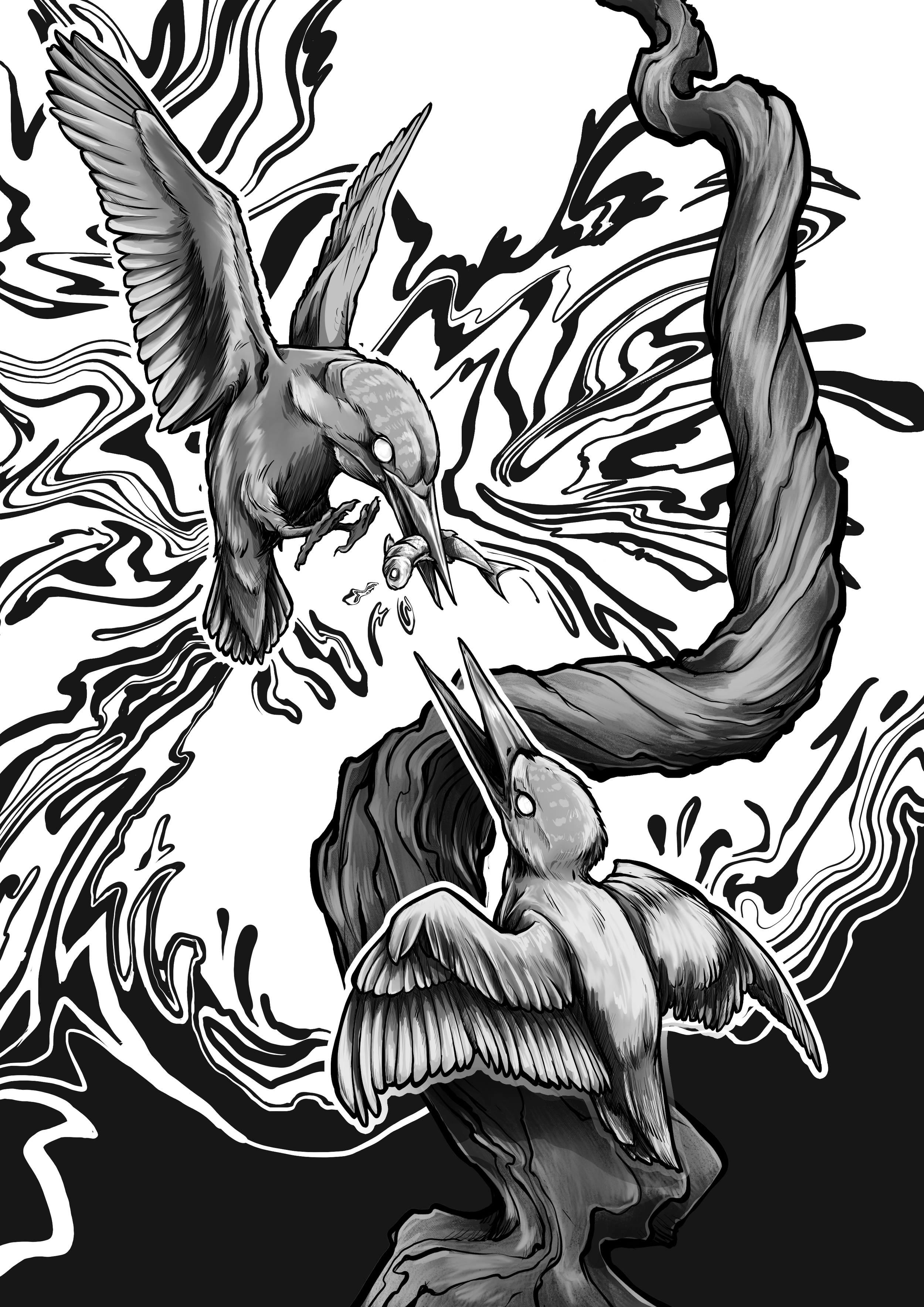kingfishers.png