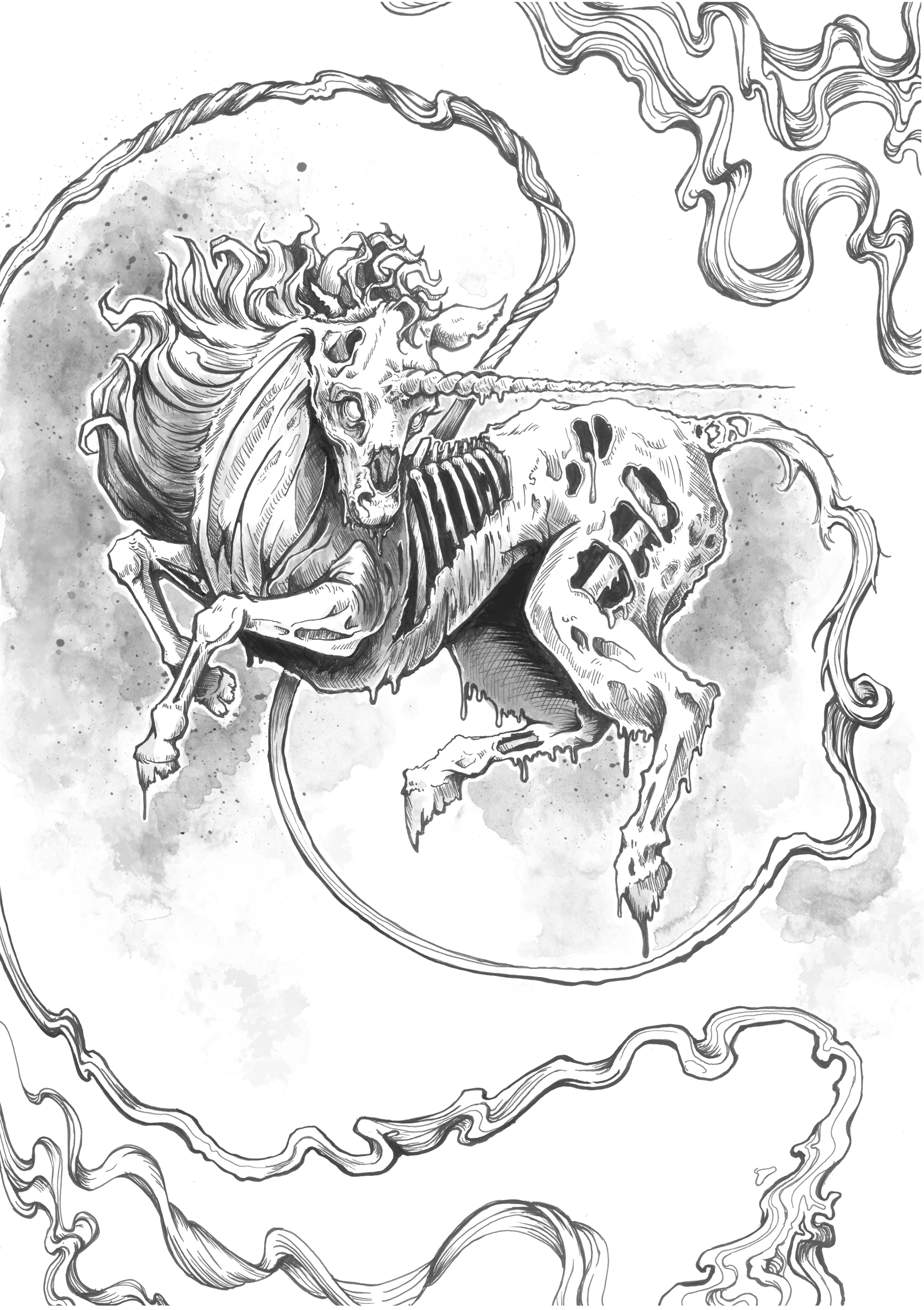 Unicorn (Website full size).png