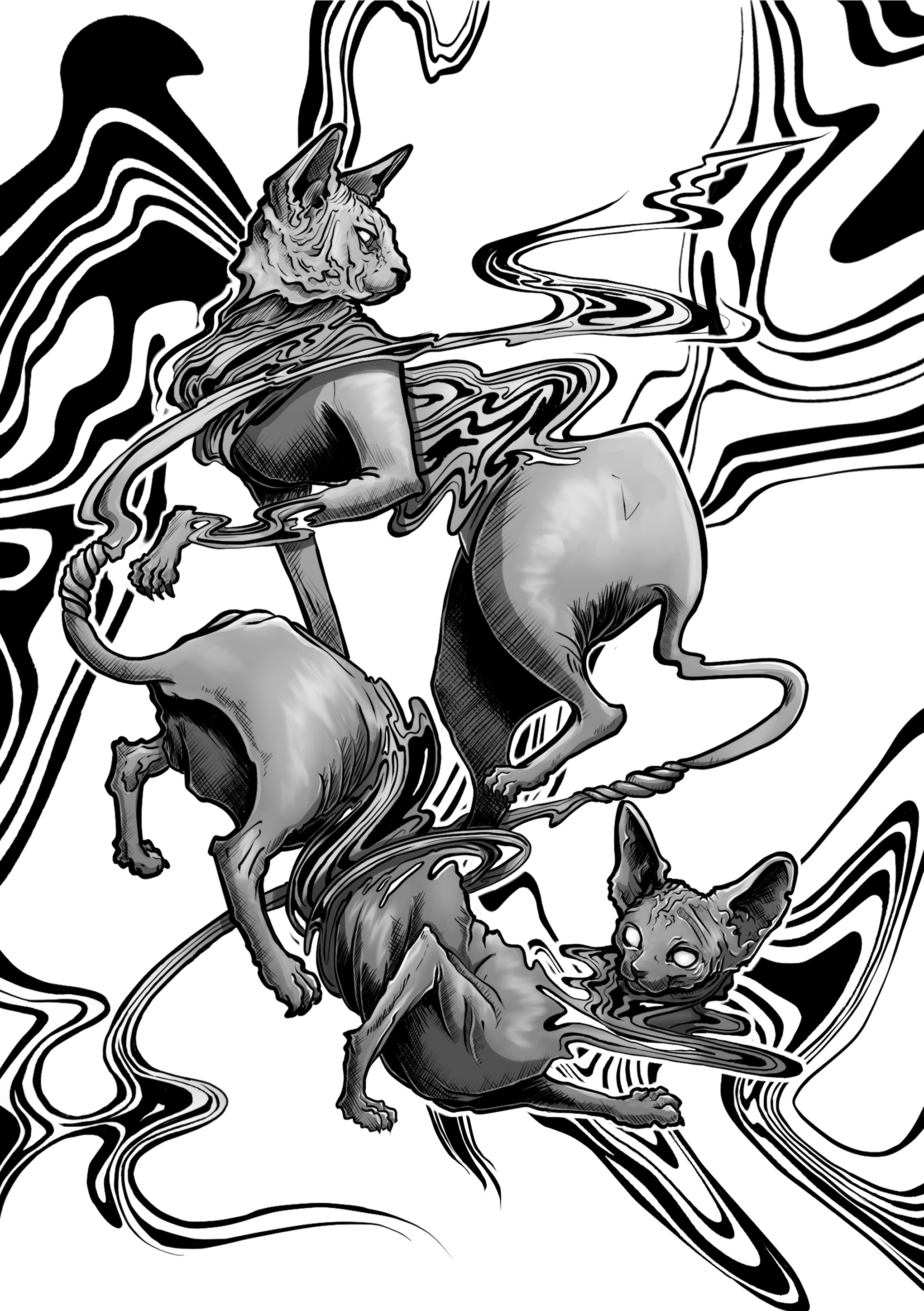 Cats.png