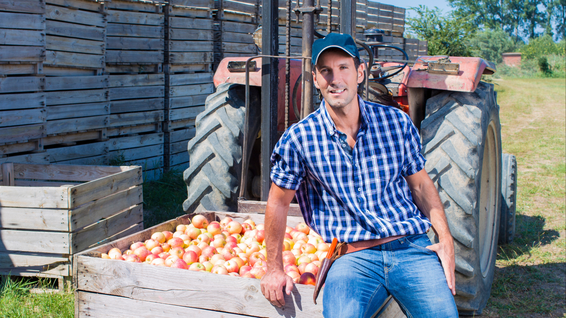 The Backbone of Upstate New York: Strengthening Agriculture &amp; Small Businesses