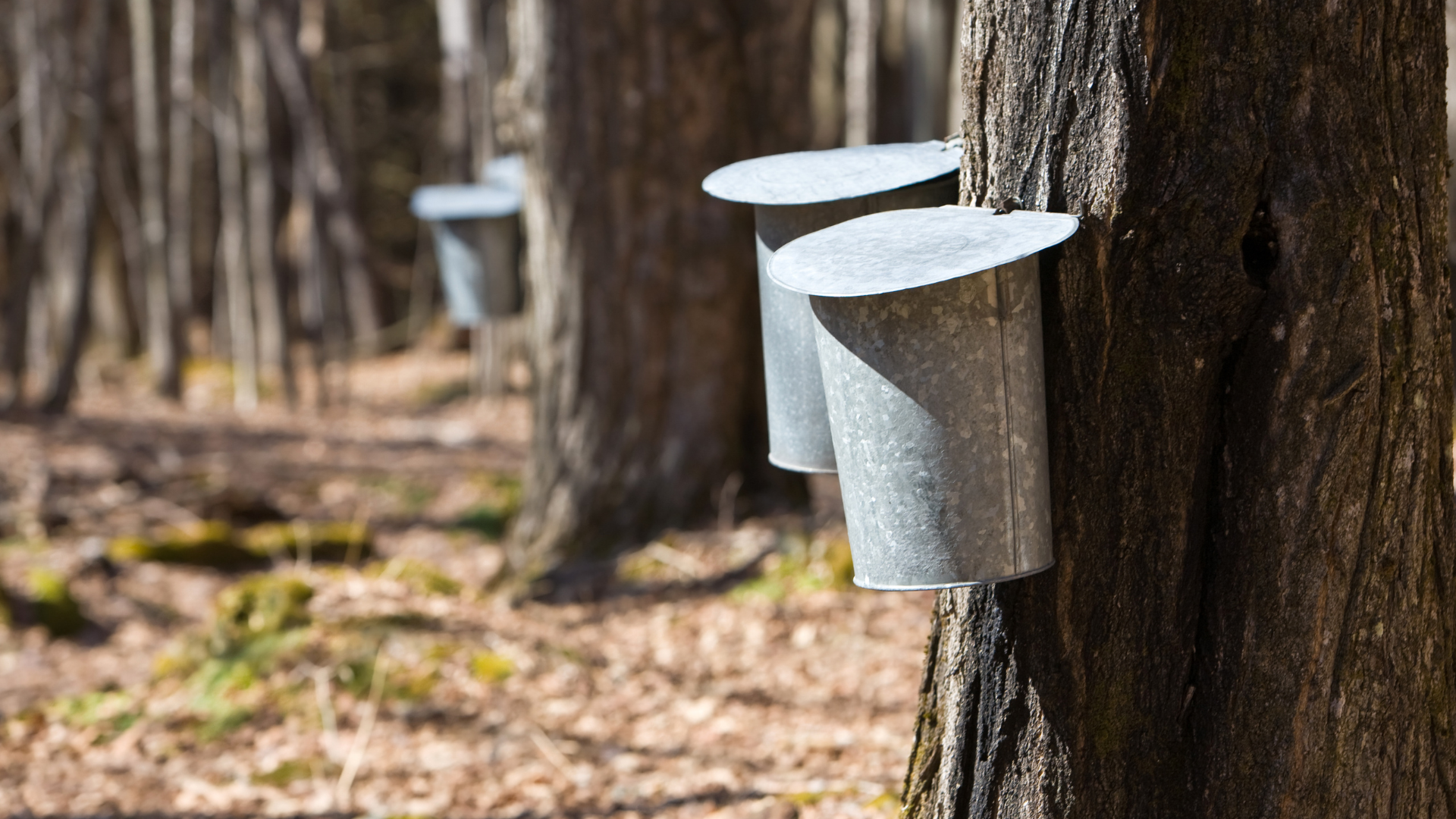 Supporting Small Businesses in Assembly District 113