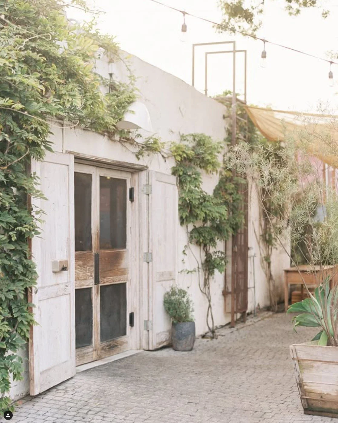 Gjusta, Venice 06.jpg