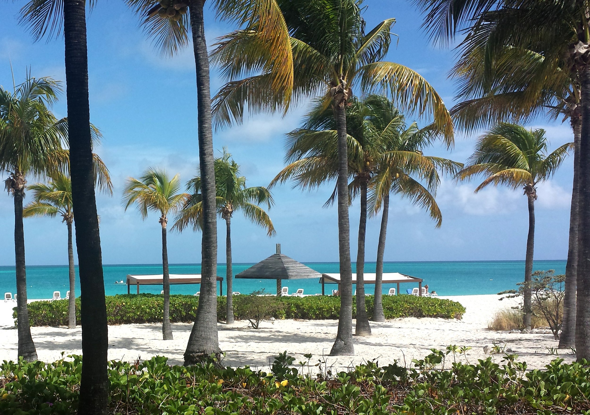 20140524_093025.jpg