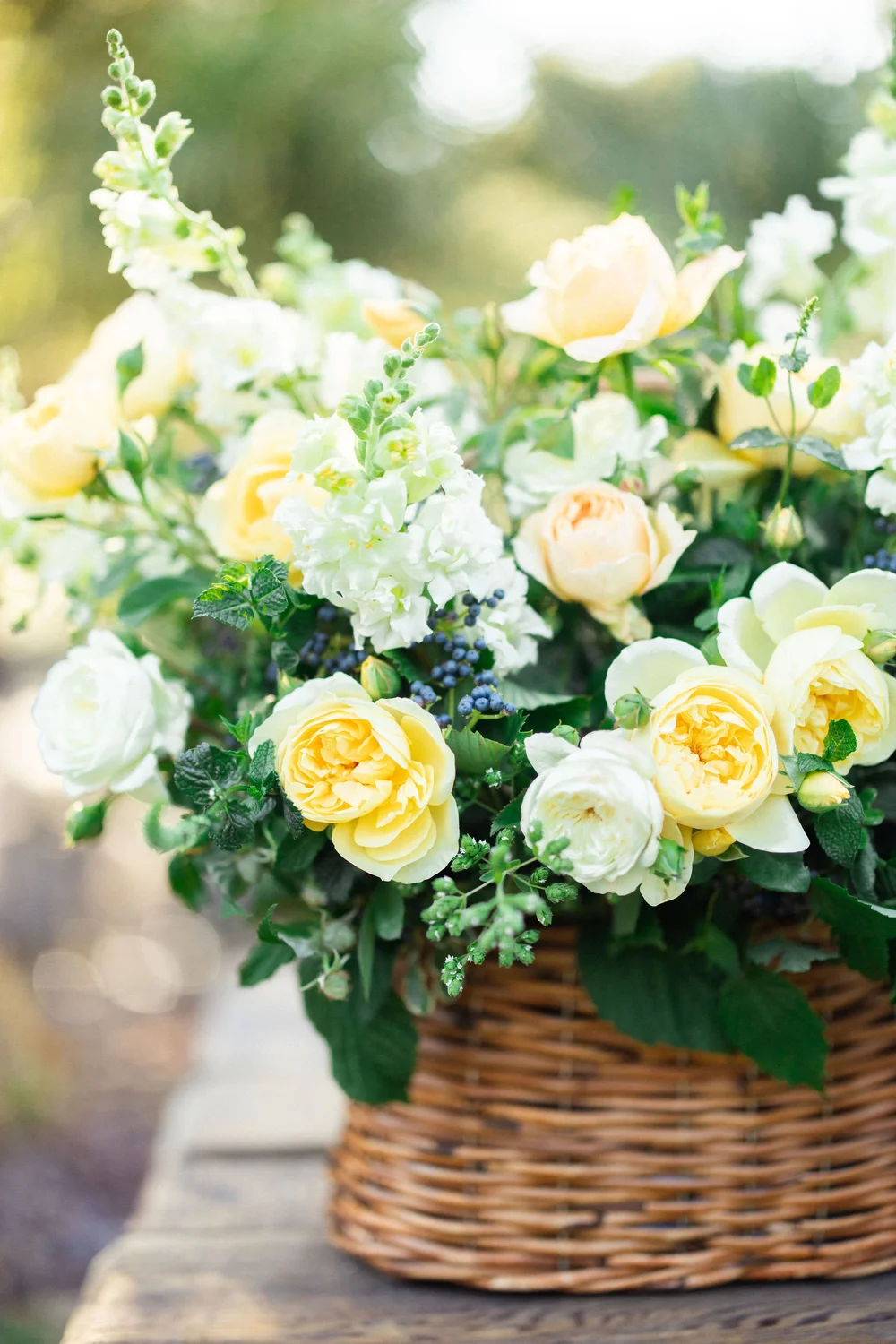 Butter-yellow and cream garden roses gathered in a woven basket