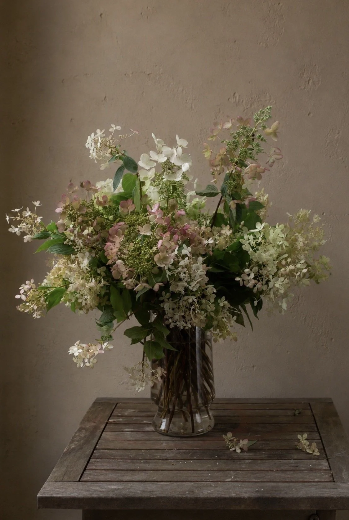 The Hydrangea