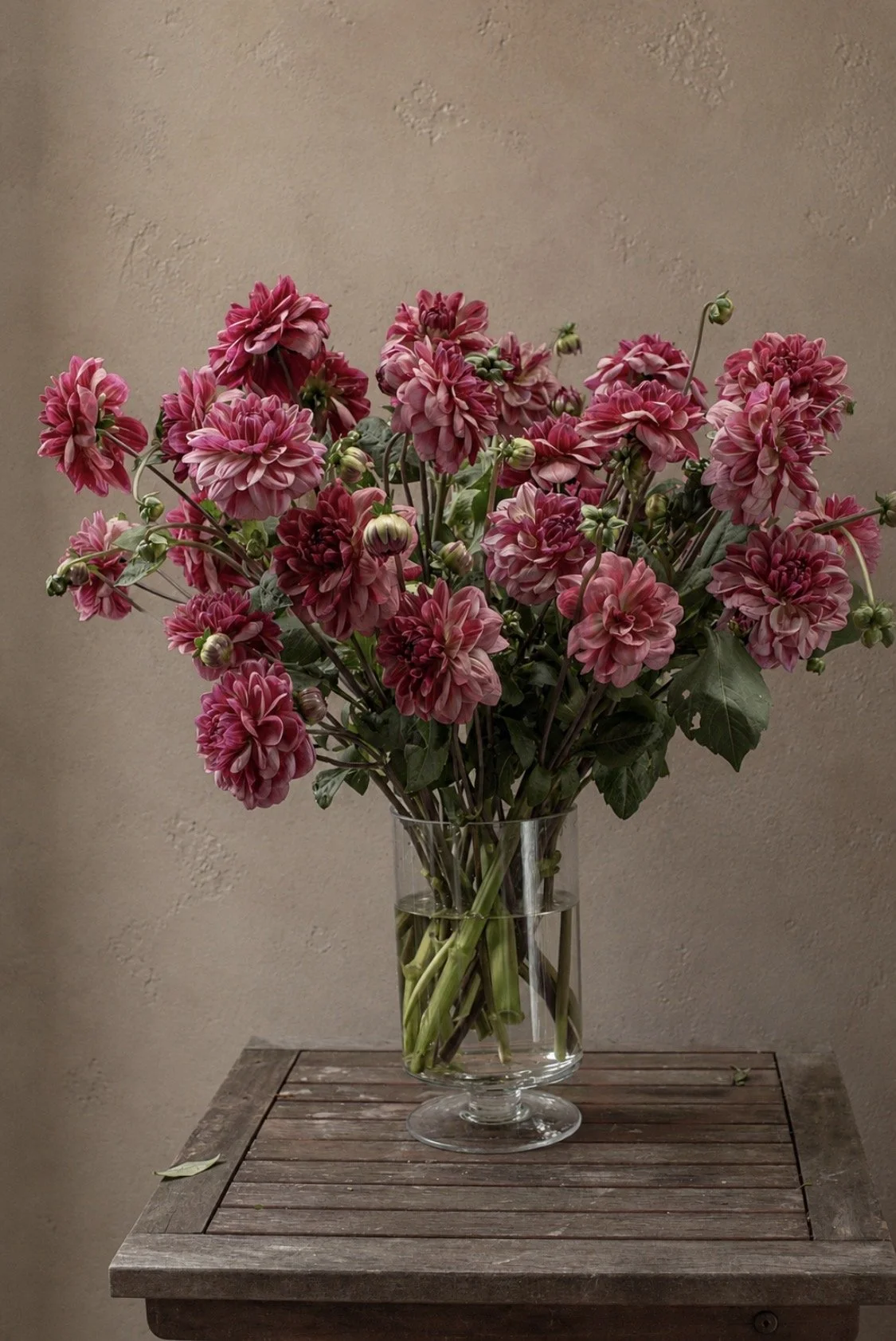 The Dahlia