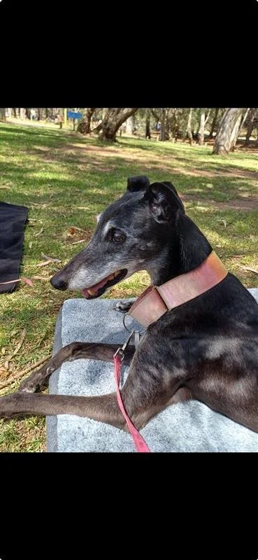 Molly's Story