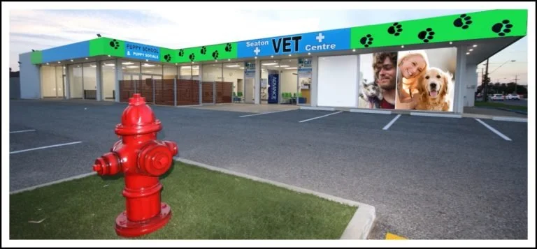 A veterinary clinic building with a bright green and blue sign, paw print decorations, and images of a person and dogs on the front. A red fire hydrant is seen in the foreground on a grassy area.