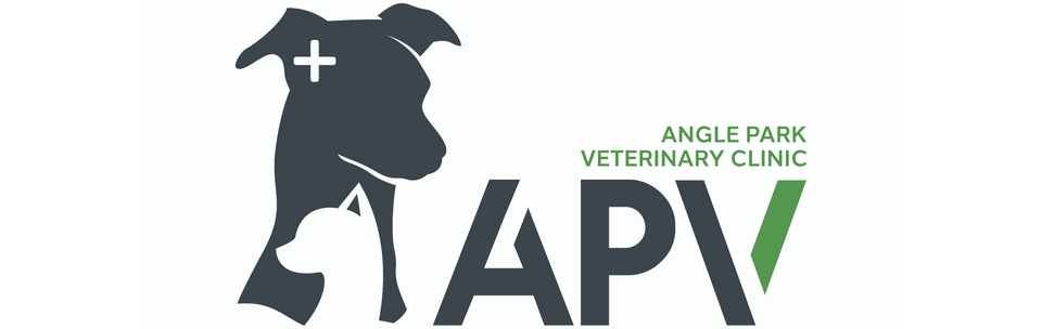 Logo of Angle Park Veterinary Clinic featuring a stylized silhouette of a dog with a cross on its ear and the words 'ANGLE PARK VETERINARY CLINIC' and 'APV' with a checkmark.