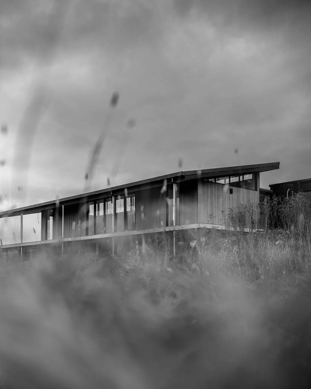 Tītoki 
A collaboration with @firstlightnz

UNDER CONSTRUCTION
SOUTH WAIRARAPA

📷@davidhenselphotography

#architect #architecture #architectural #architecturelovers #architecturedesign #architecturaldesign #architecturephotography #builder #builder