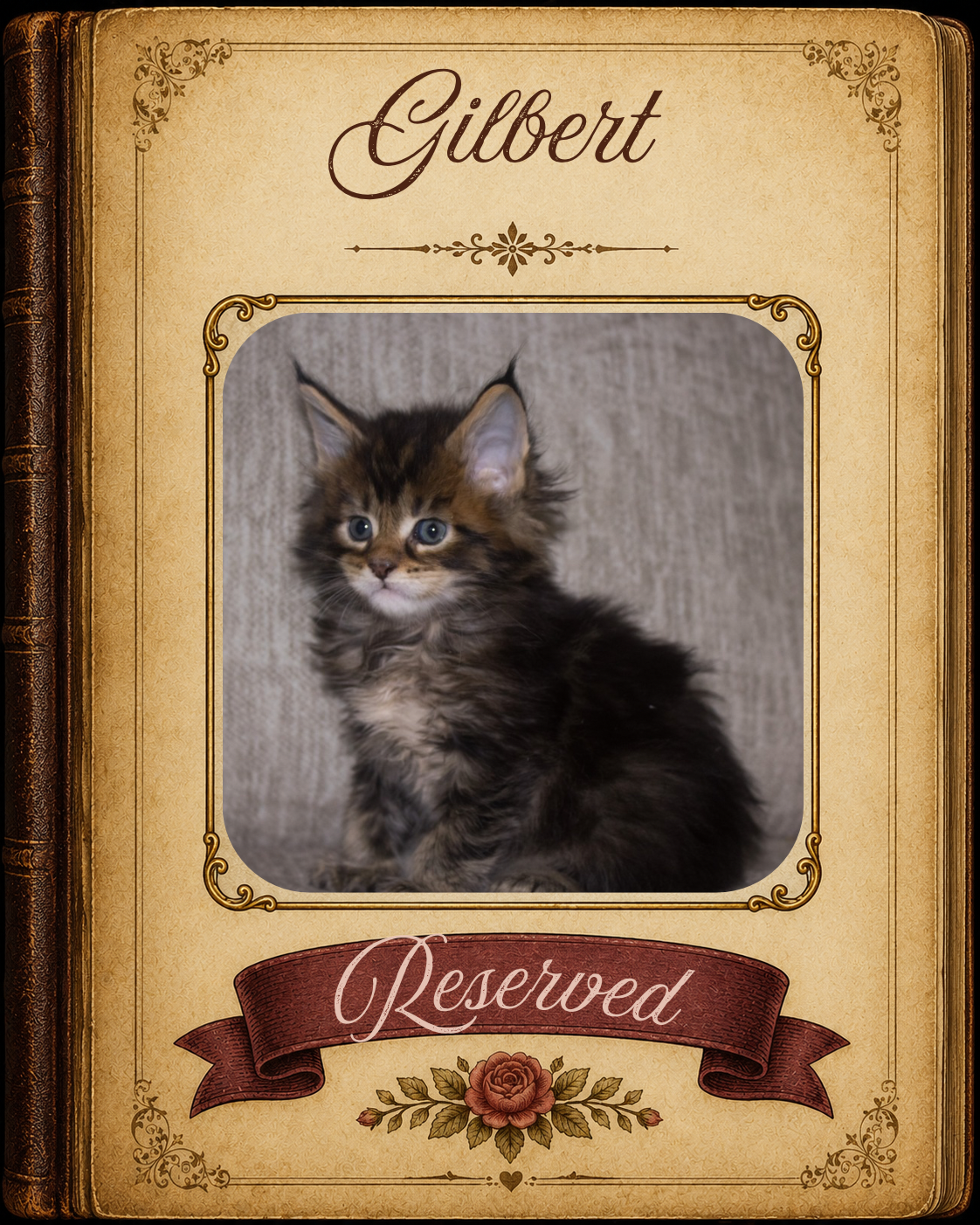 Gilbert Reserved