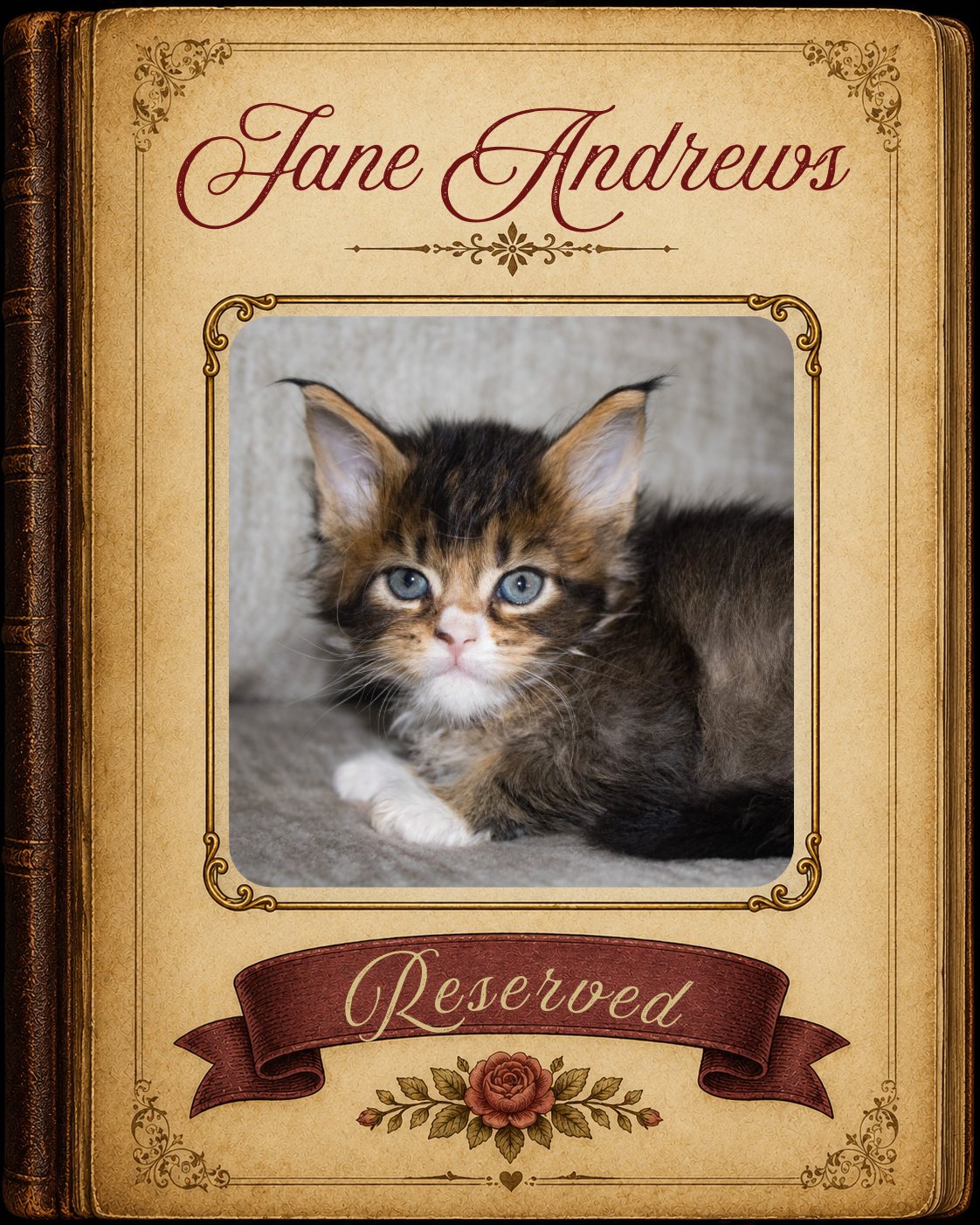 Jane Andrews Reserved