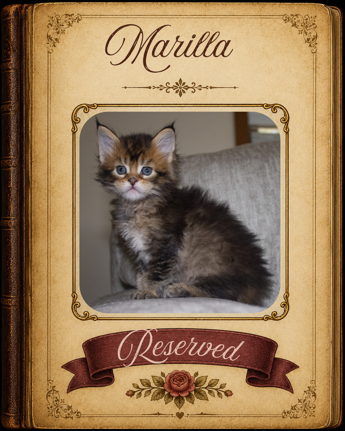 Marilla Reserved