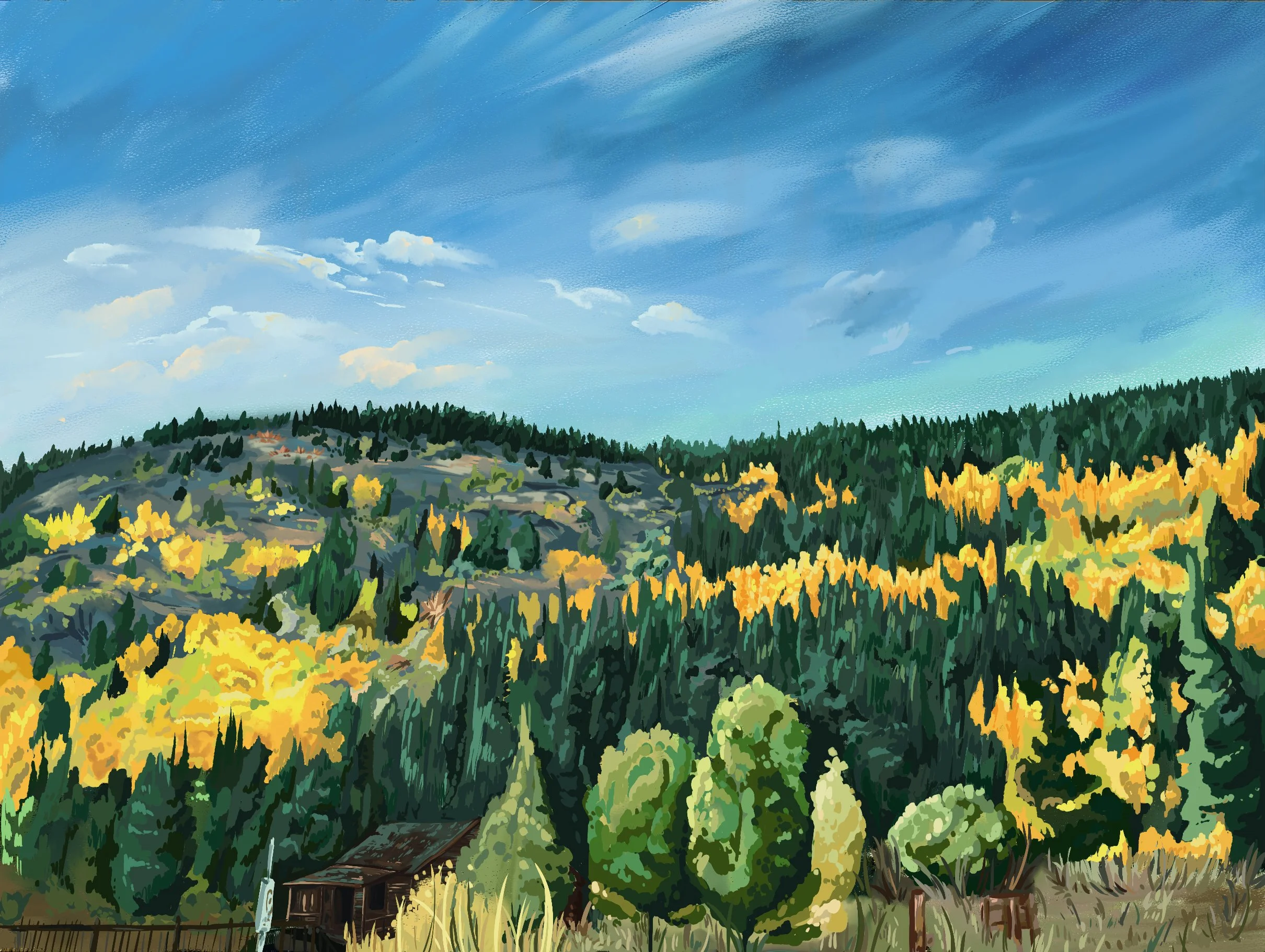 Nederland CO - Procreate 