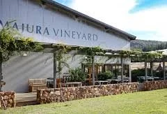 Mount Majura Image 1.jpg