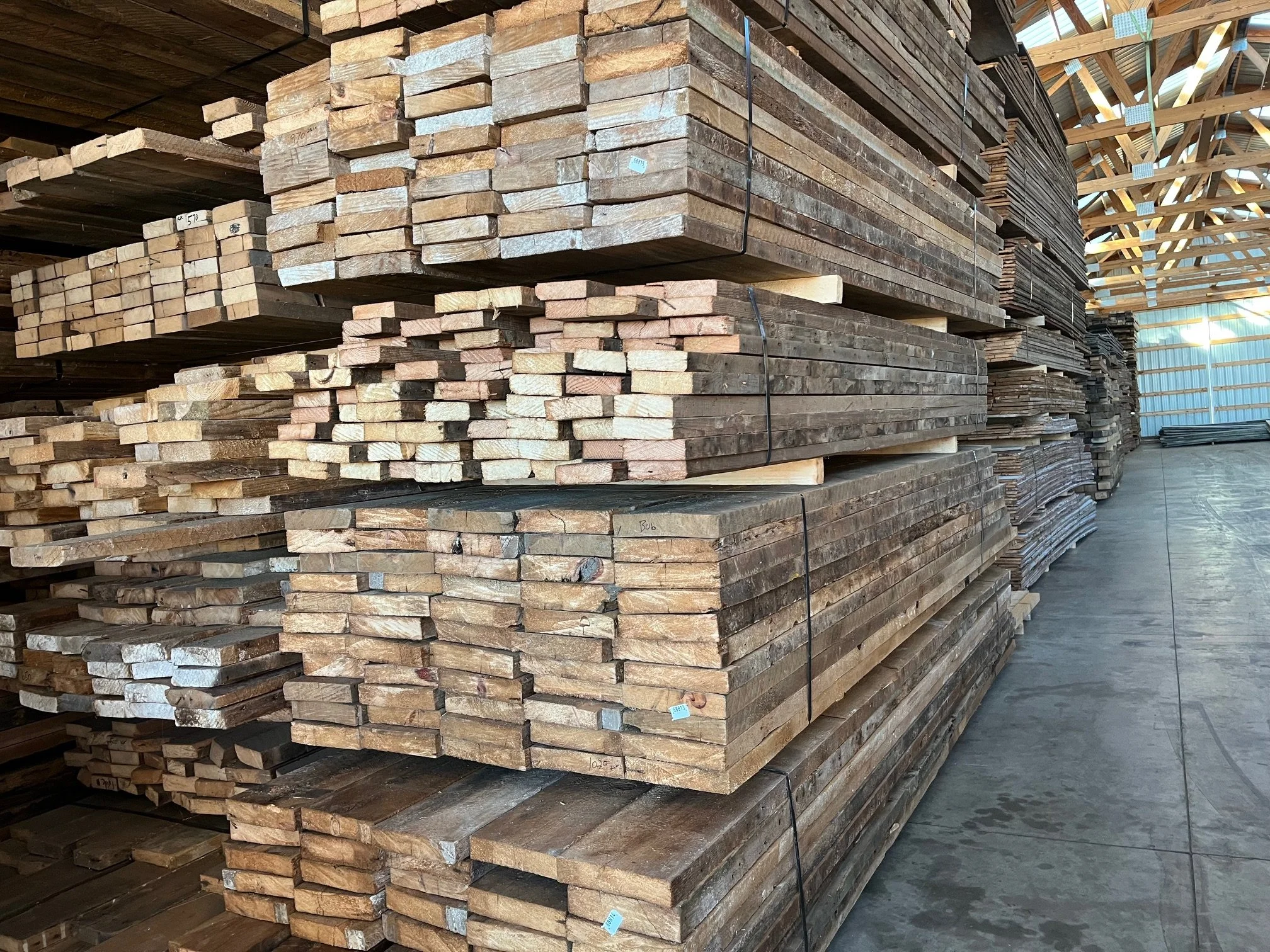 dimensional pine
