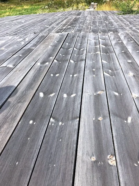 farmed fancy grey pine is available in 16 foot lengths