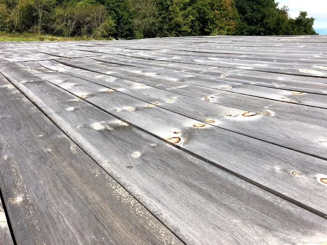when the sap rises, it creates a natural barrier to water and moisture. pine pitch is a natural preservative