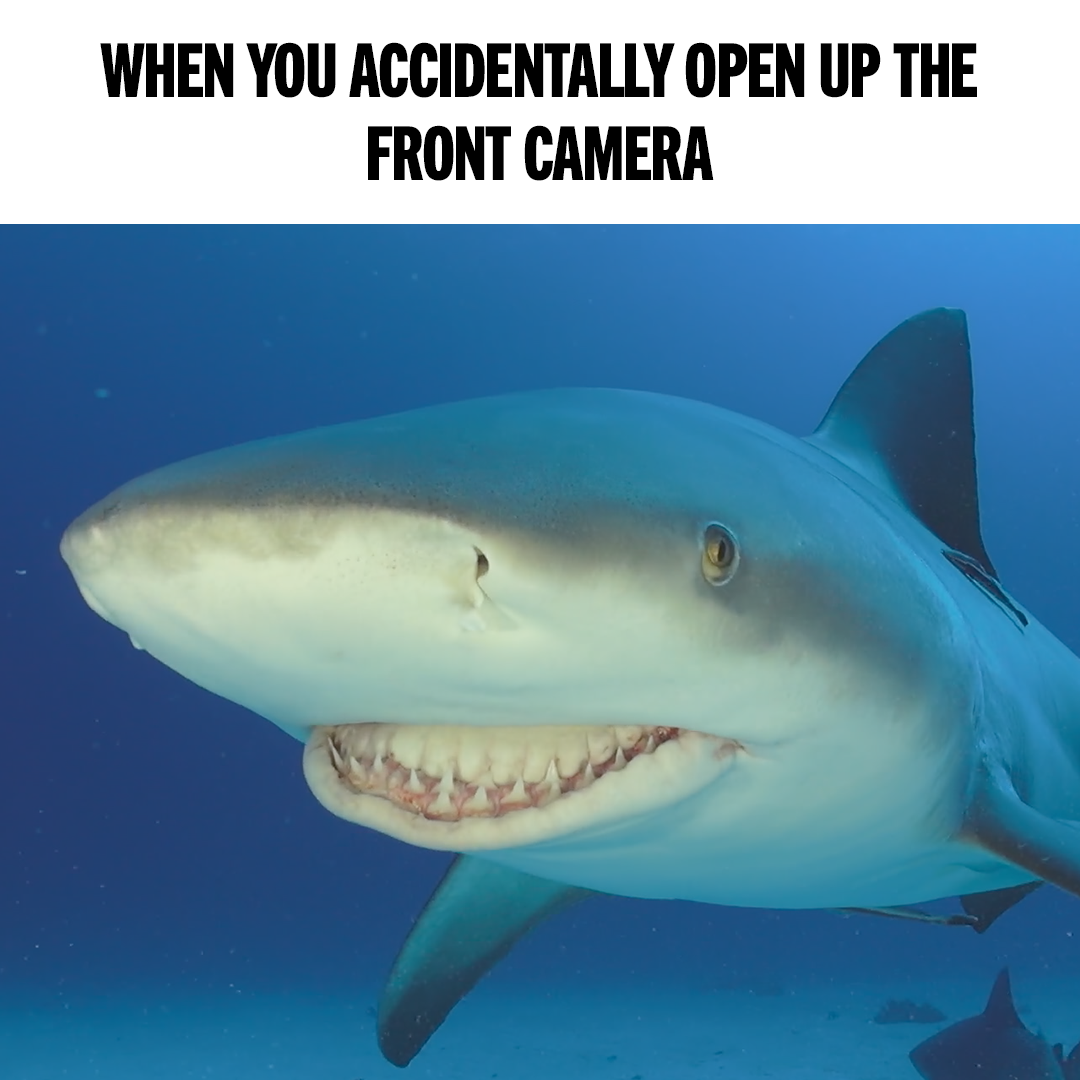 NG-Sharkfest-MemeAttack-Meme5-1x1-071824-SOCIAL DELIVERY.png