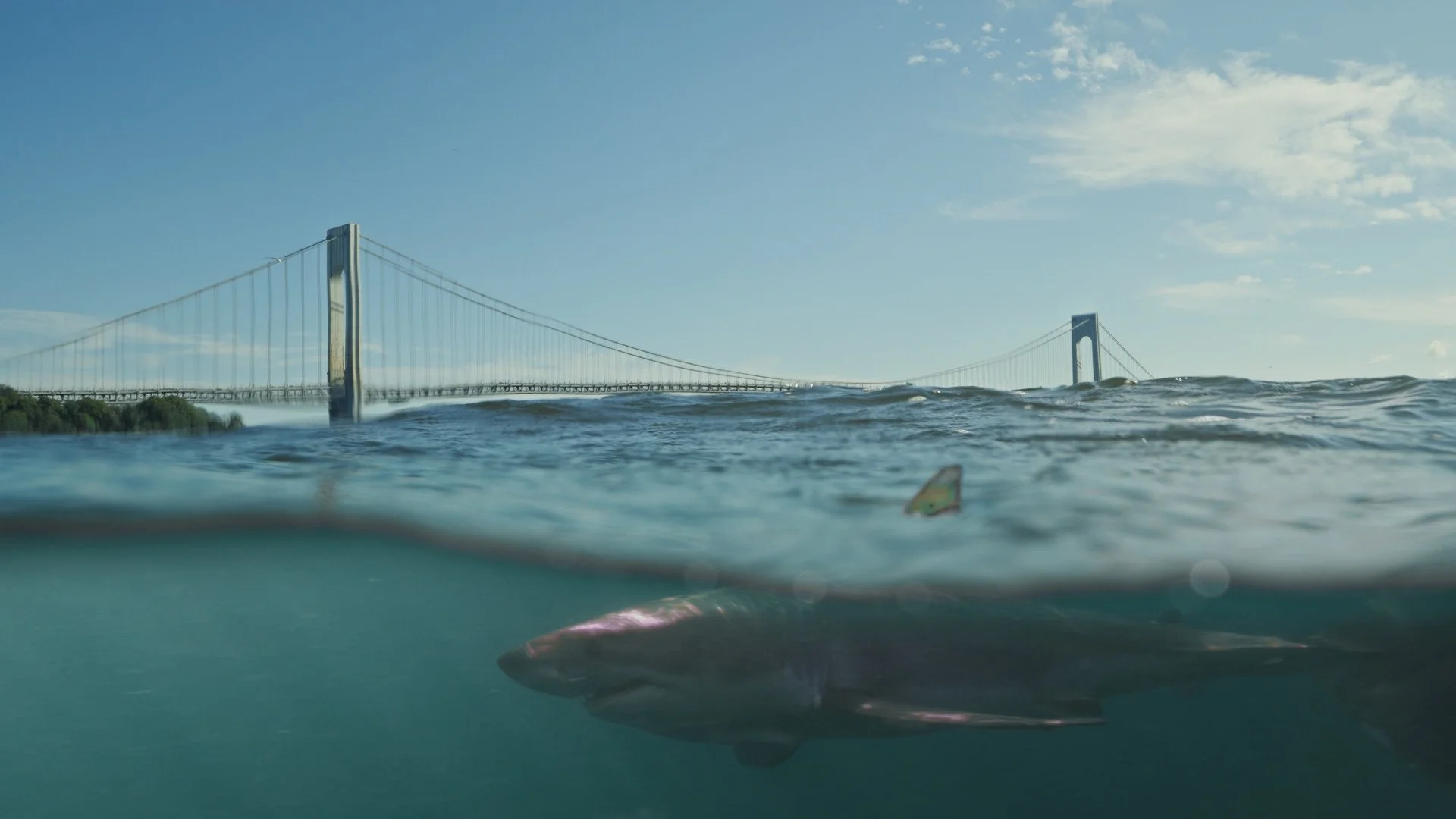 A view of a bridge over the water, with a shark swimming below the surface and the sky with some clouds.