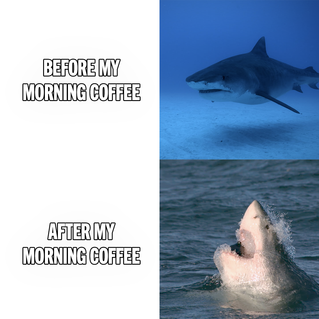 NG-Sharkfest-MemeAttack-Meme10-1x1-071824-SOCIAL DELIVERY.png