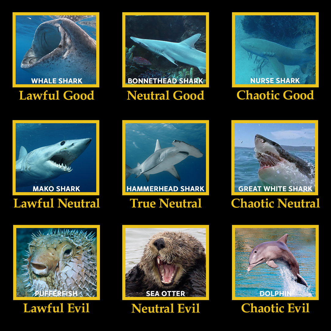 NG-Sharkfest-MemeAttack-Meme11-1x1-071824-SOCIAL DELIVERY.png