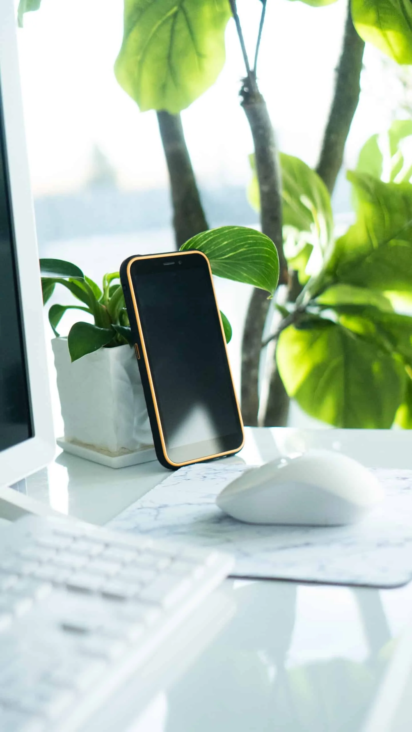 A desk with a white keyboard, a computer mouse, a smartphone with a black screen, a potted plant with green leaves, and a large leafy plant in the background near a window.