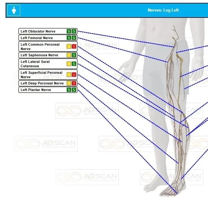 ao scan comprehensive of the nerves