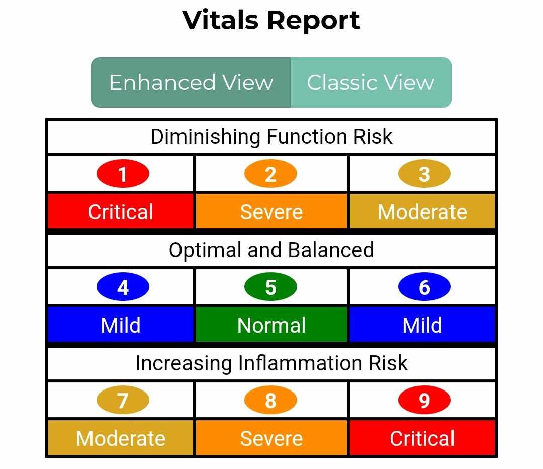 AO Scan Vitals Report Scale.jpg