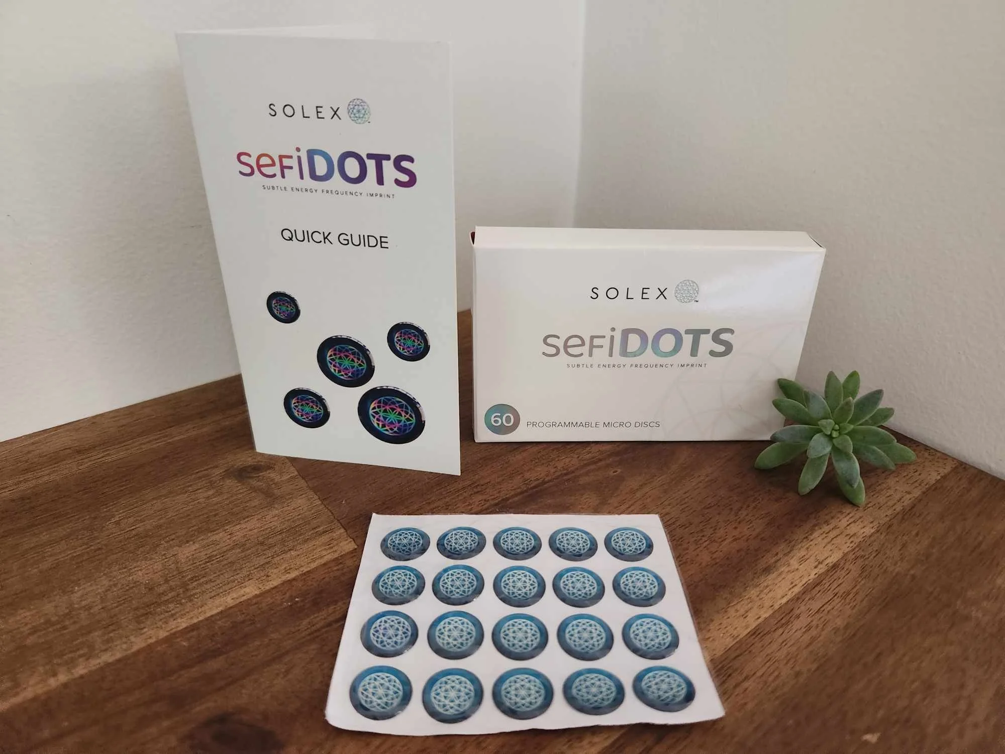 SEFI Dots.jpg