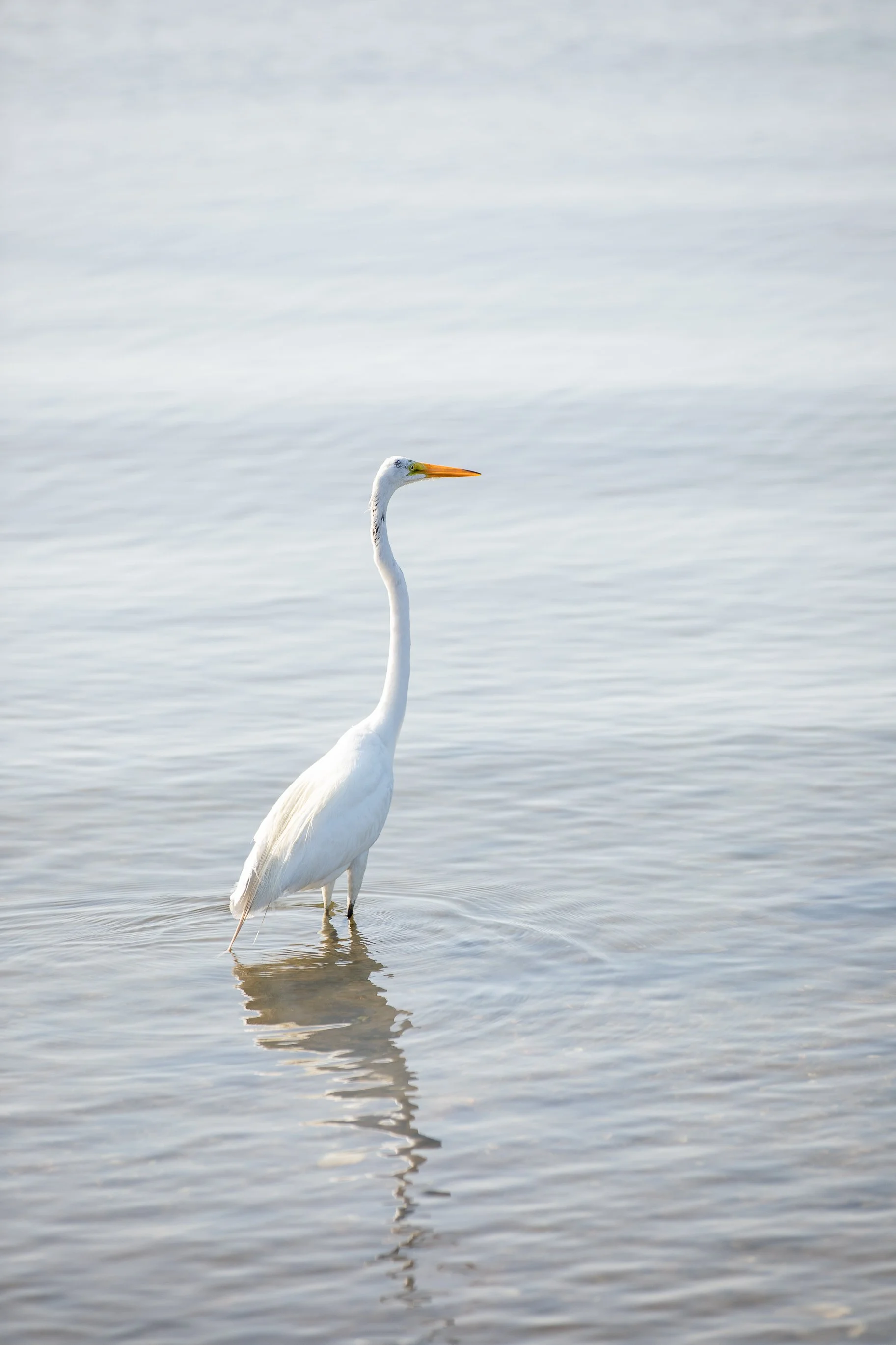 Lake Montauk_Paul Brooke photography (1).jpg