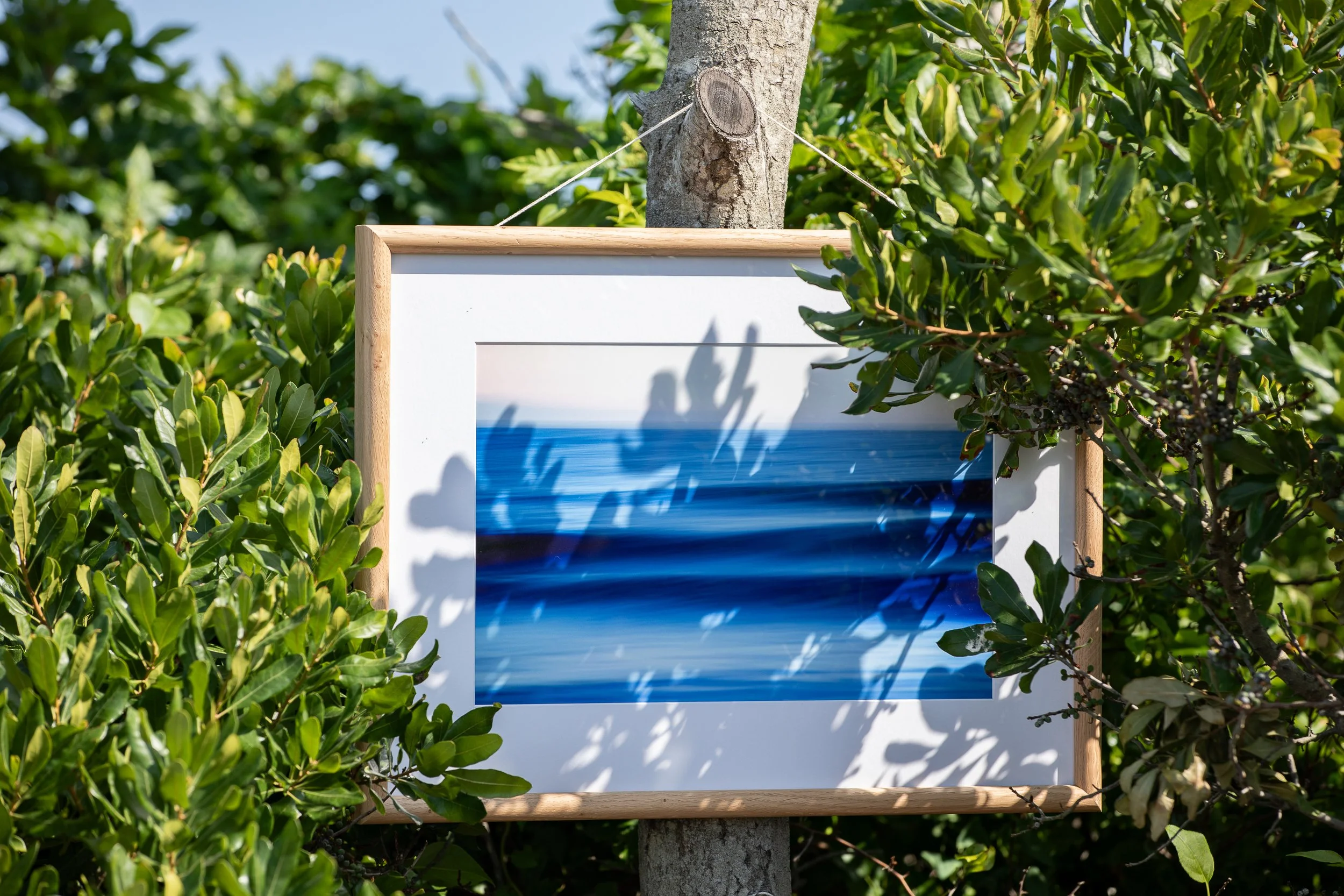 Silent Auction_Paul Brooke photography.jpg