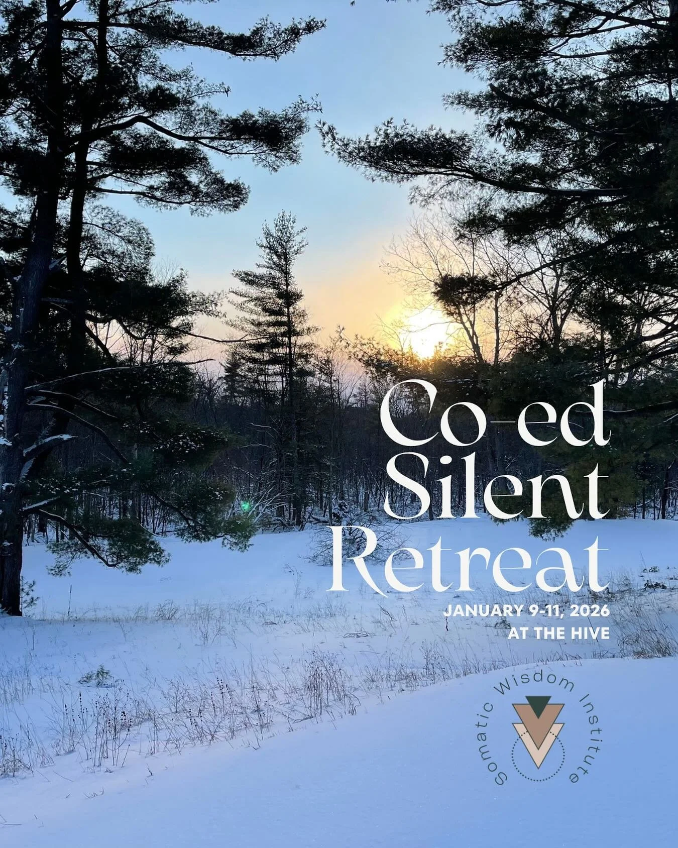 ✨sacred silence✨

Co-Ed Silent Retreat at The Hive

January 9-11, 2026

✨In the heart of winter, when the land grows still and the days are quiet, we are invited inward. This retreat is an opening into silence&mdash;not as emptiness, but as a presenc